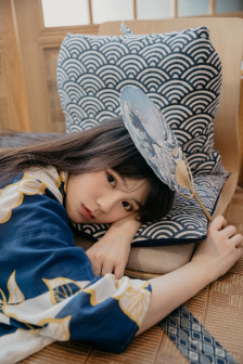 秘密女搜查官系列